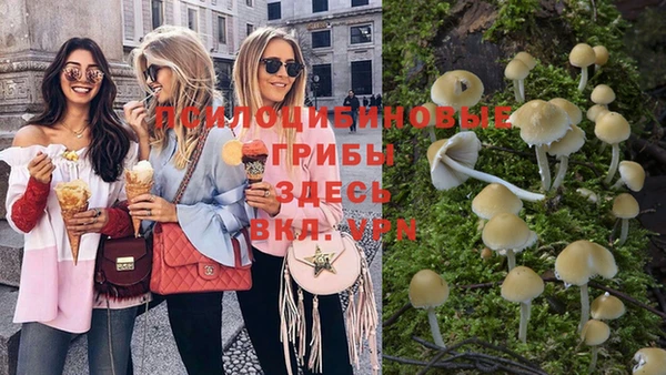 spice Алзамай