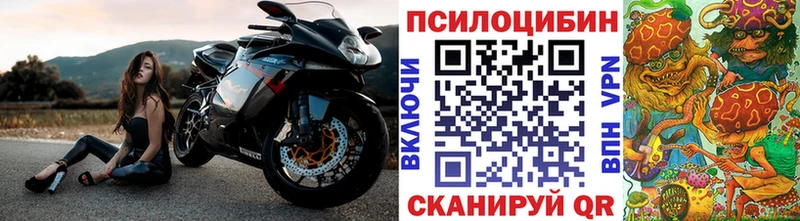 Галлюциногенные грибы Magic Shrooms  сколько стоит  Новоалександровск 